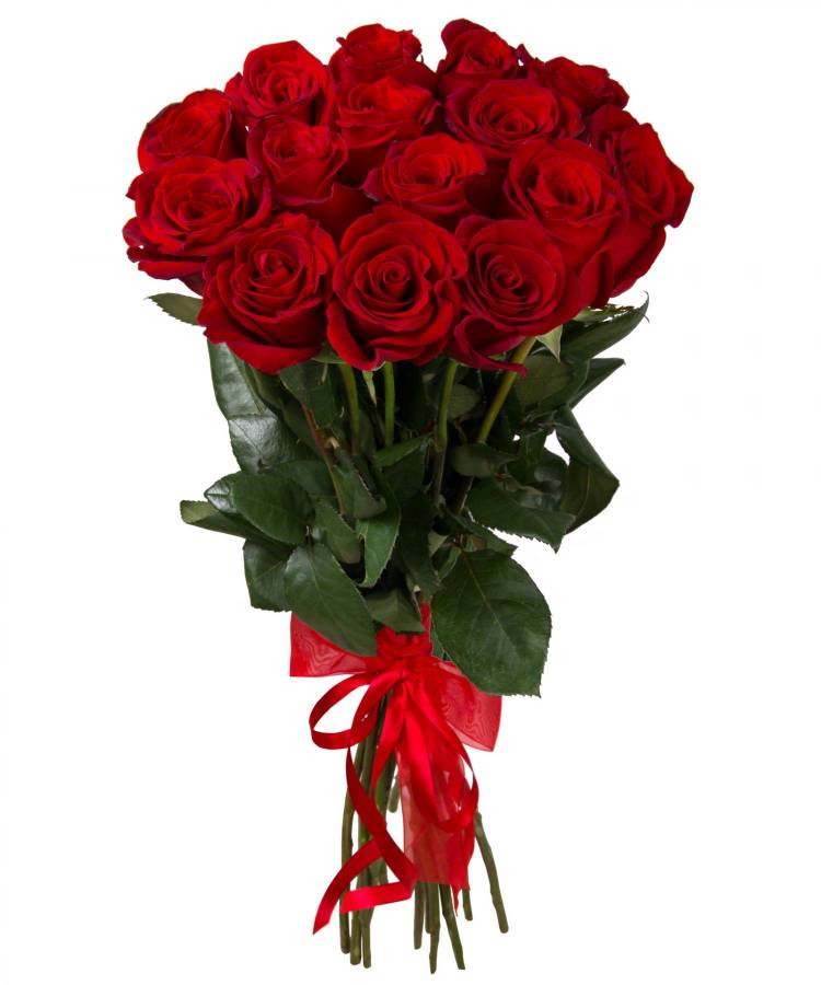 Букет из 15 элитных красных роз