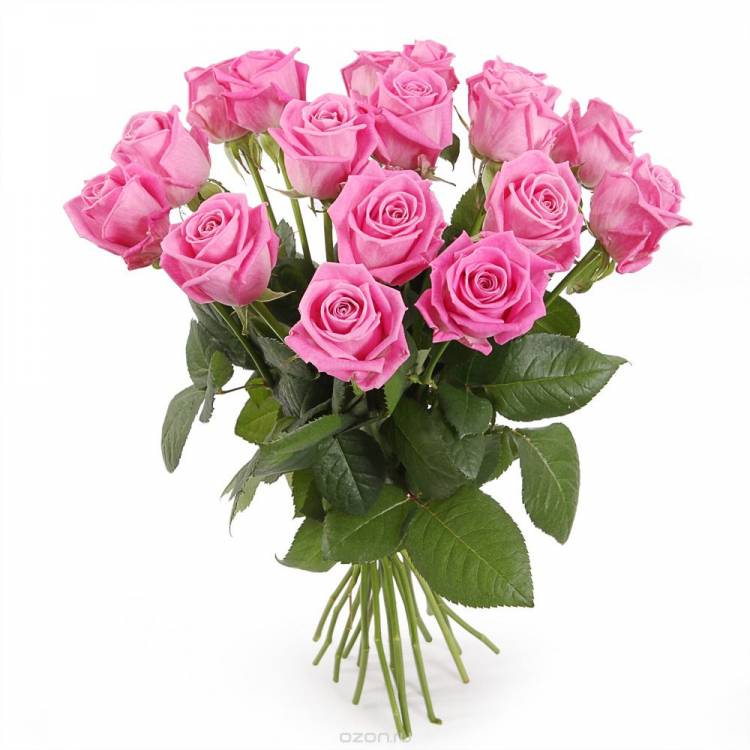 Букет из 15 розовых элитных роз